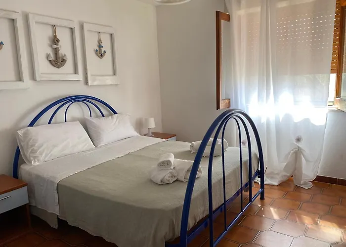 Apartment Molly House Scario